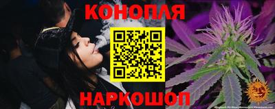 прущие грибы Новокубанск