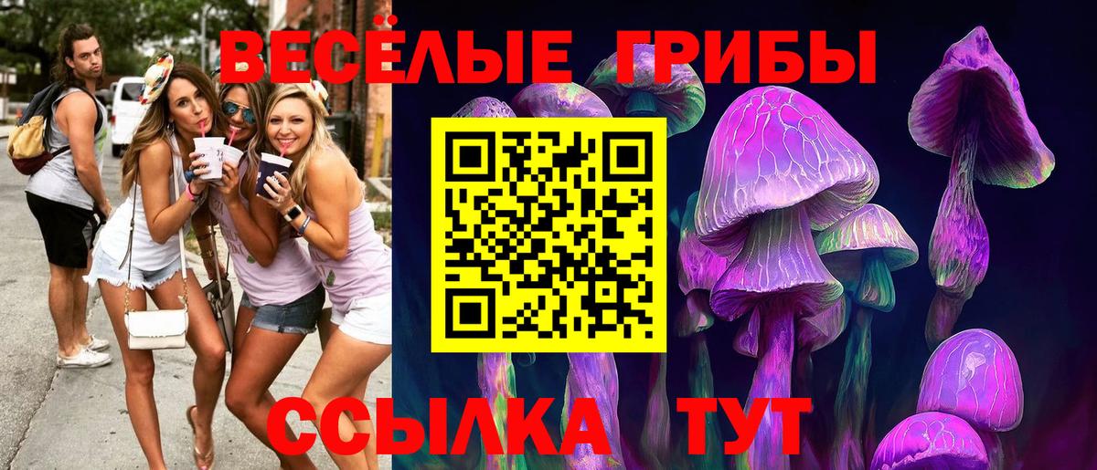 Сосновый Бор  купить  цена  Вход с VPN  Псилоцибиновые грибы GOLDEN TEACHER 